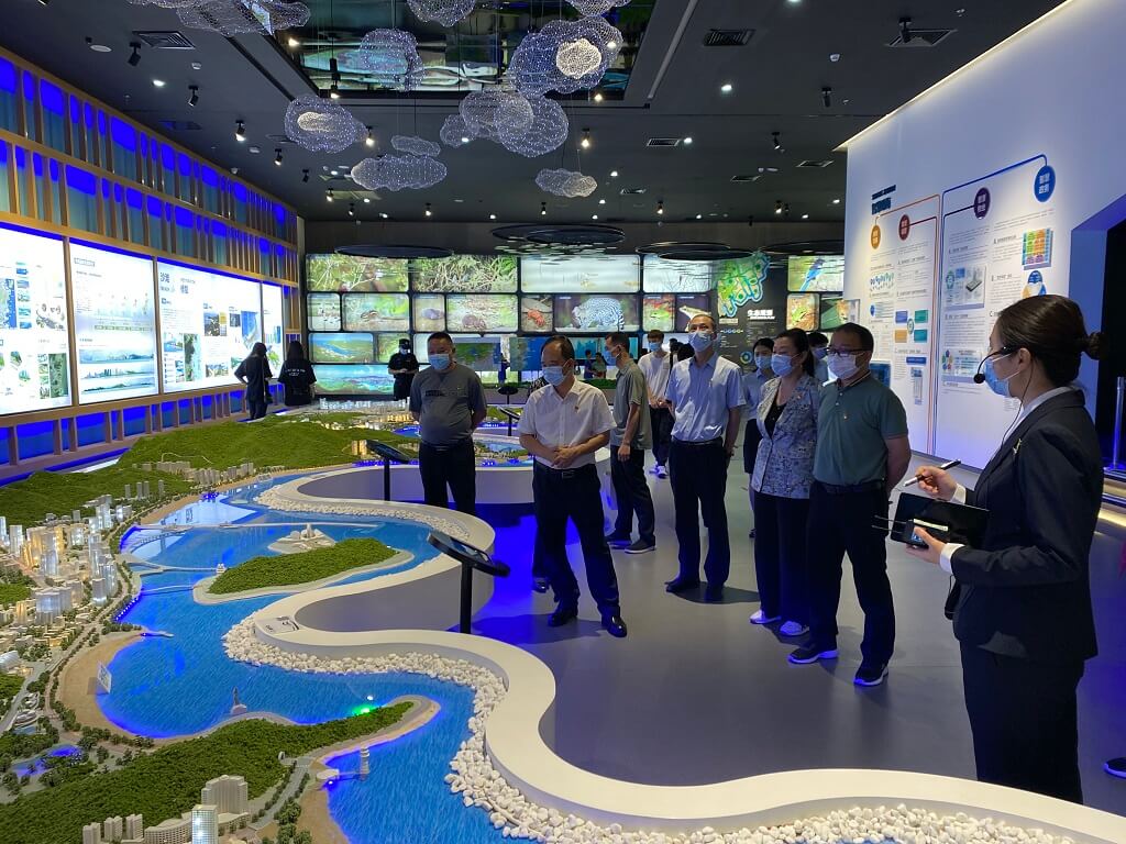 图片5