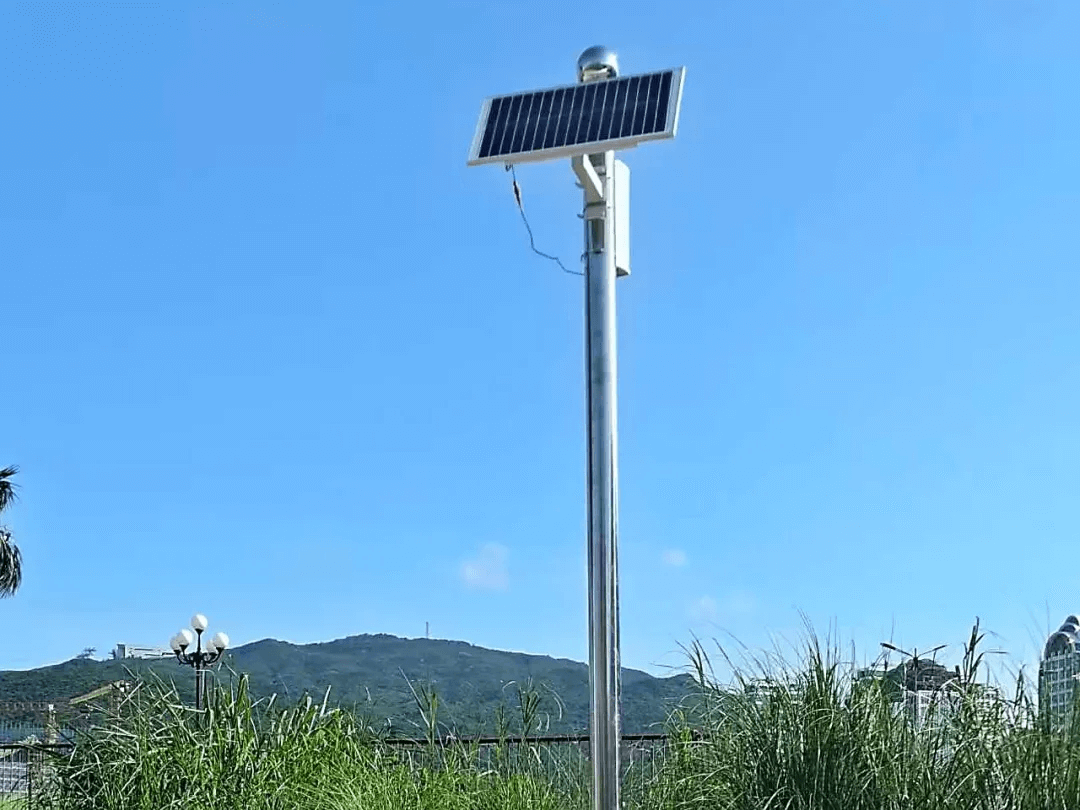 自动语音播放器