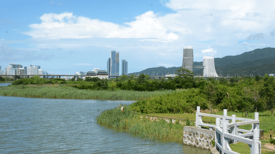 横琴国家湿地公园