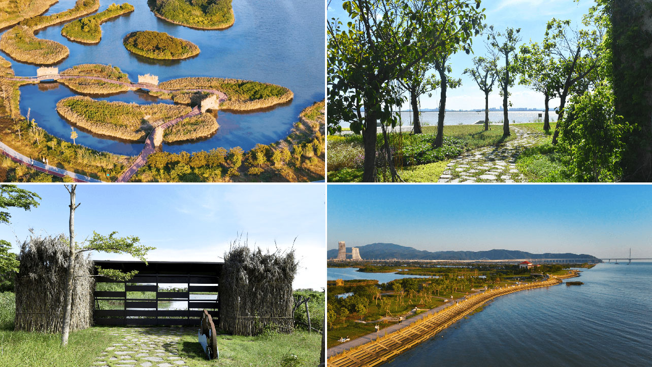 横琴国家湿地公园